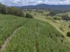 75 Colemans Rd, Valla, NSW 2448-Image