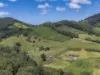 75 Colemans Rd, Valla, NSW 2448-Image
