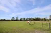 75 Corduroy Road, Longwarry, Vic 3816-Image