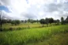 75 Jacobsens Road, Yerra, Qld 4650-Image