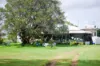 75 Jacobsens Road, Yerra, Qld 4650-Image