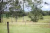 75 Jacobsens Road, Yerra, Qld 4650-Image