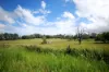 75 Jacobsens Road, Yerra, Qld 4650-Image