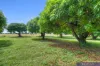 75 Taloonda Road, Bowen, Qld 4805-Image