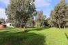 7507 Murray Valley Highway, Mead, Vic 3568-Image