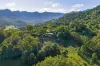 76 Bald Mountain Road, Limpinwood, NSW 2484-Image