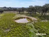 76 Carnells Lane (Dalton), Gunning, NSW 2581-Image
