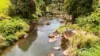 76 Kenny Road, Minbun, Qld 4886-Image