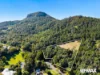 76 Wants Road, Maroochy River, Qld 4561