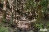 76 Wants Road, Maroochy River, Qld 4561-Image