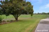 761 Gelliondale Road, Jack River, Vic 3971-Image