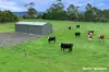 761 Gelliondale Road, Jack River, Vic 3971-Image
