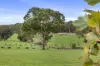 764 Flaxley Road, Flaxley, SA 5153-Image