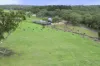 764 Flaxley Road, Flaxley, SA 5153-Image