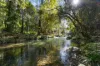 764 Summervilles Road, Bellingen, NSW 2454-Image