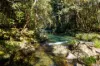 764 Summervilles Road, Bellingen, NSW 2454-Image