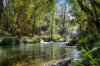 764 Summervilles Road, Bellingen, NSW 2454-Image
