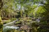 764 Summervilles Road, Bellingen, NSW 2454-Image