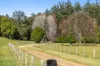 764 Summervilles Road, Bellingen, NSW 2454-Image