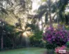 77 McLean Road, Lake Barrine, Qld 4884-Image