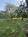 77 Missigs Road, Haigslea, Qld 4306-Image