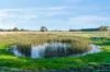 770 Birregurra-Deans Marsh Road, Birregurra, Vic 3242-Image