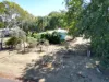 778 Haly Creek Road, Haly Creek, Qld 4610-Image