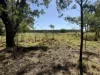 778 Haly Creek Road, Haly Creek, Qld 4610-Image