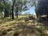 778 Haly Creek Road, Haly Creek, Qld 4610-Image