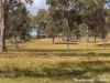 78 Bullcamp Road, East Nanango, Qld 4615-Image