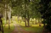 78 Herron Road, Pullenvale, Qld 4069-Image