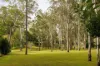 78 Herron Road, Pullenvale, Qld 4069-Image