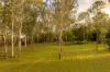 78 Herron Road, Pullenvale, Qld 4069-Image