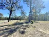 78 Swain Street, Belford, NSW 2335-Image