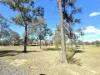 78 Swain Street, Belford, NSW 2335-Image