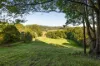 78 Tallowood Road, Possum Creek, NSW 2479-Image