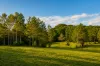 78 Tallowood Road, Possum Creek, NSW 2479-Image