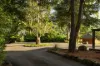 78 Tallowood Road, Possum Creek, NSW 2479-Image