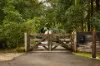 78 Tallowood Road, Possum Creek, NSW 2479-Image