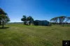 781 Wandobah Road, Gunnedah, NSW 2380-Image