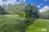 782 Smiths Creek Road, Stokers Siding, NSW 2484-Image