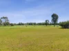 7875 Riverina Highway, Lowesdale, NSW 2646-Image