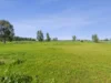 7875 Riverina Highway, Lowesdale, NSW 2646-Image