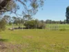 7875 Riverina Highway, Lowesdale, NSW 2646-Image