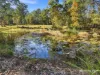 788 Cedar Party Road, Cedar Party, NSW 2429-Image