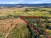 788 Cedar Party Road, Cedar Party, NSW 2429-Image