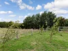 79 Hawthorn Lane, Braidwood, NSW 2622-Image