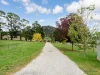 79 Hawthorn Lane, Braidwood, NSW 2622-Image