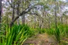 790 Wisemans Ferry Road, Somersby, NSW 2250-Image