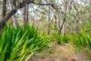 790 Wisemans Ferry Road, Somersby, NSW 2250-Image
